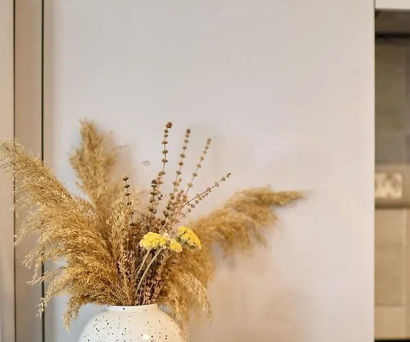 Daire Paradise Sea View 2bd N Pools Navodari